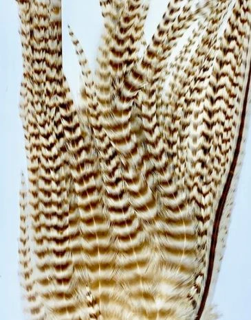 Wapsi Hackle Ewing Wooly Bugger Patch 4 Wapsi Hackle Ewing Wooly Bugger Patch