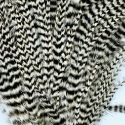 Wapsi Hackle Ewing Wooly Bugger Patch 17 Wapsi Hackle Ewing Wooly Bugger Patch