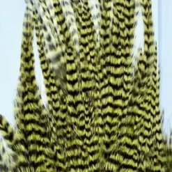 Wapsi Hackle Ewing Wooly Bugger Patch 19 Wapsi Hackle Ewing Wooly Bugger Patch