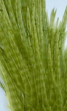 Wapsi Hackle Ewing Wooly Bugger Patch 13 Wapsi Hackle Ewing Wooly Bugger Patch