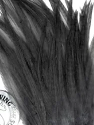 Wapsi Hackle Ewing Wooly Bugger Patch 26 Wapsi Hackle Ewing Wooly Bugger Patch