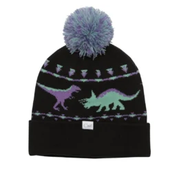 Coal The Dinosaur Graphic Pom Beanie