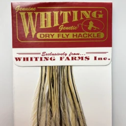 Whiting 100 Pack Dry Fly Hackle - Golden Badger - 12