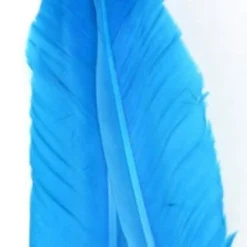 Nature's Spirit Goose Quills