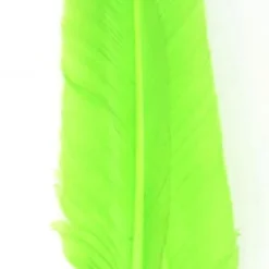 Nature's Spirit Goose Quills