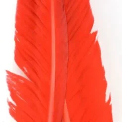 Nature's Spirit Goose Quills