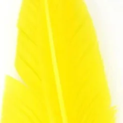 Nature's Spirit Goose Quills