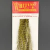 Whiting 100 Pack Dry Fly Hackle - Grizzly Dyed Dark Olive - 14
