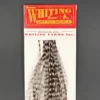 Whiting 100 Pack Dry Fly Hackle - Grizzly Dyed Medium Dun - 10