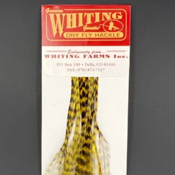 Whiting 100 Pack Dry Fly Hackle - Grizzly Dyed Golden Olive - 14