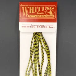 Whiting 100 Pack Dry Fly Hackle - Grizzly Dyed Olive - 14