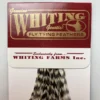 Whiting 100 Pack Dry Fly Hackle - Grizzly - 10 2 Whiting 100 Pack Dry Fly Hackle - Grizzly - 10