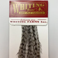 Whiting 100 Pack Dry Fly Hackle - Grizzly Dyed Medium Dun - 12