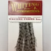 Whiting 100 Pack Dry Fly Hackle - Grizzly Dyed Medium Dun - 20