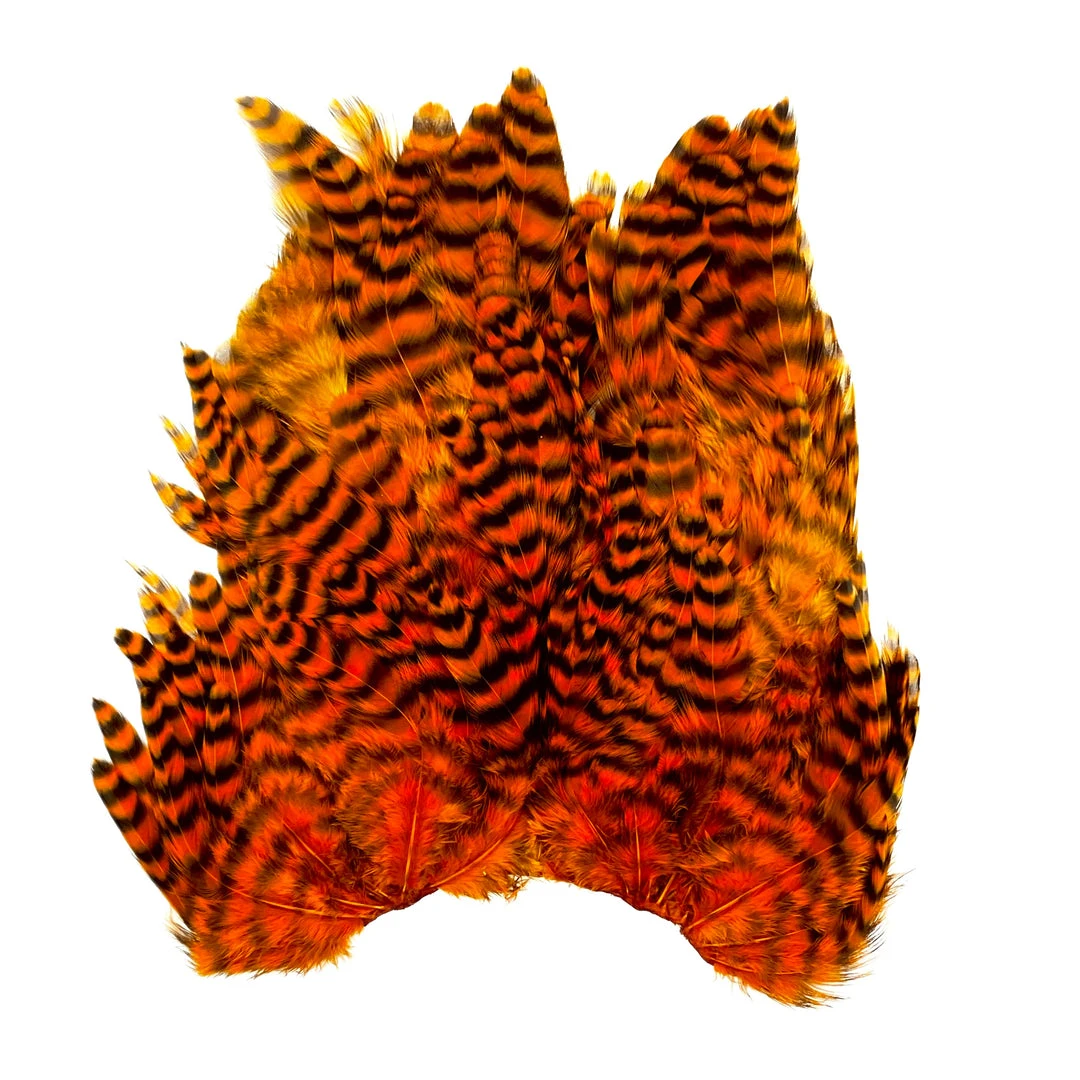 Whiting Bugger Hackle Patch 6 Whiting Bugger Hackle Patch