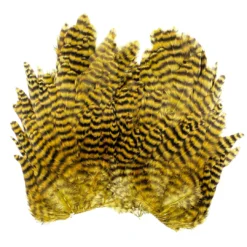 Whiting Bugger Hackle Patch 15 Whiting Bugger Hackle Patch