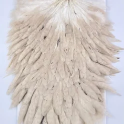 Hackle Whiting Red Label Hen Saddle