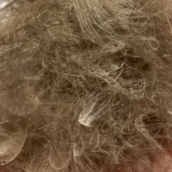 Nature's Spirit Swiss CDC Dubbing Feathers & Marabou