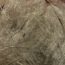 TroutHunter Premium Bulk CDC Feathers & Marabou 41 TroutHunter Premium Bulk CDC Feathers & Marabou