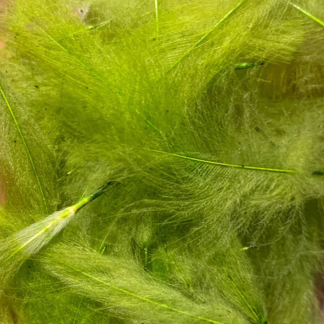 TroutHunter Premium Bulk CDC Feathers & Marabou 12 TroutHunter Premium Bulk CDC Feathers & Marabou