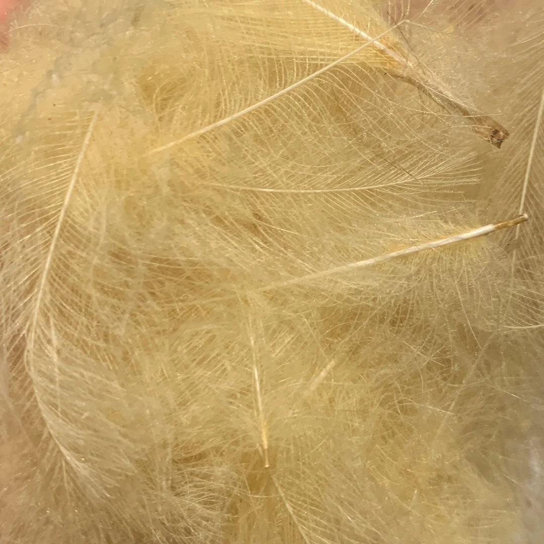 TroutHunter Premium Bulk CDC Feathers & Marabou 10 TroutHunter Premium Bulk CDC Feathers & Marabou