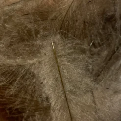 TroutHunter Premium Bulk CDC Feathers & Marabou 37 TroutHunter Premium Bulk CDC Feathers & Marabou