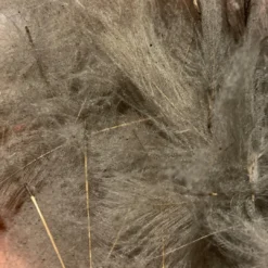 TroutHunter Premium Bulk CDC Feathers & Marabou 34 TroutHunter Premium Bulk CDC Feathers & Marabou