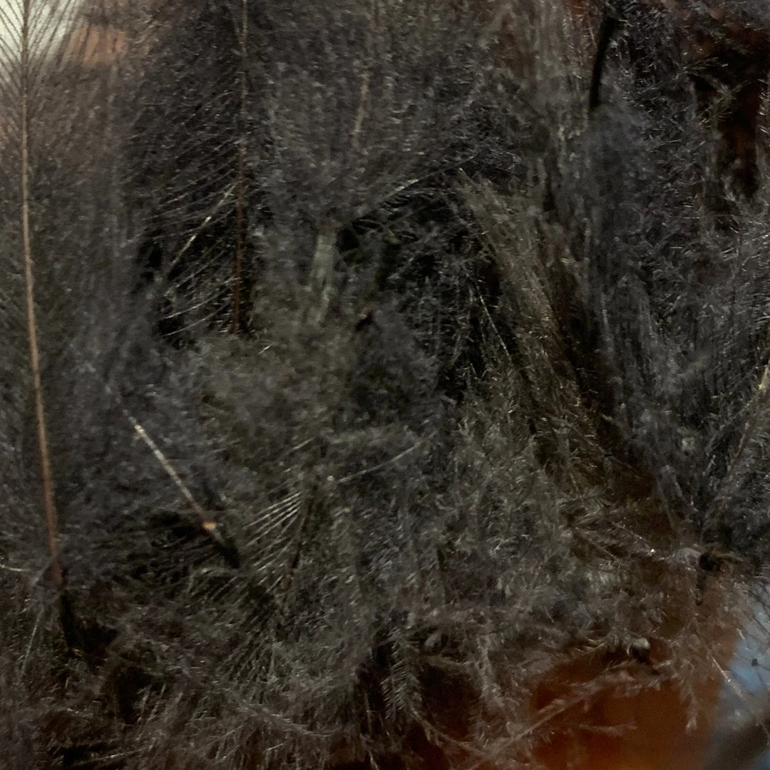 TroutHunter Premium Bulk CDC Feathers & Marabou 31 TroutHunter Premium Bulk CDC Feathers & Marabou