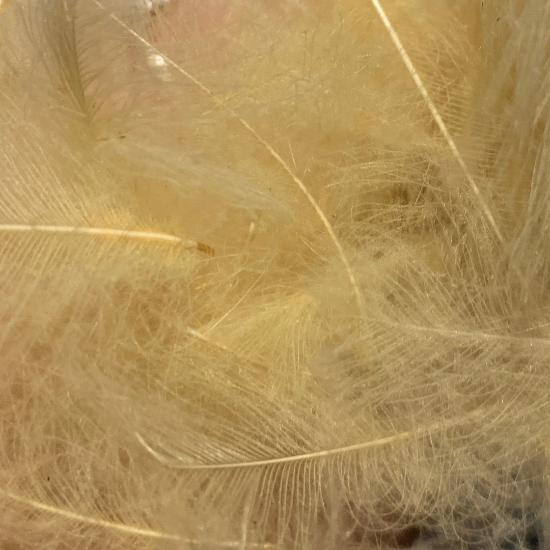 TroutHunter Premium CDC 17 TroutHunter Premium CDC