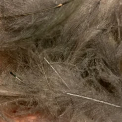 TroutHunter Premium Bulk CDC Feathers & Marabou 53 TroutHunter Premium Bulk CDC Feathers & Marabou