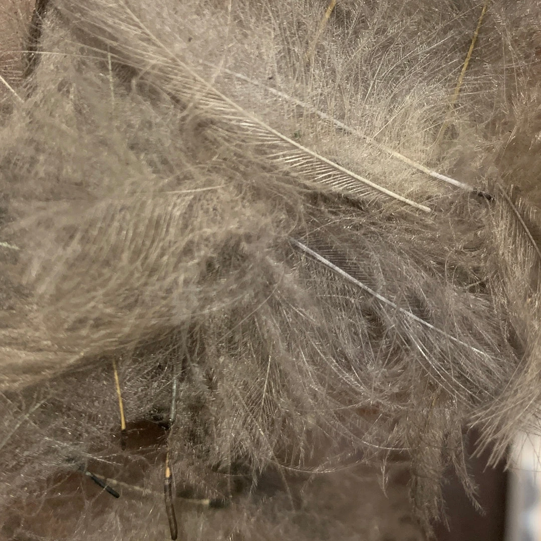 TroutHunter Premium Bulk CDC Feathers & Marabou 24 TroutHunter Premium Bulk CDC Feathers & Marabou