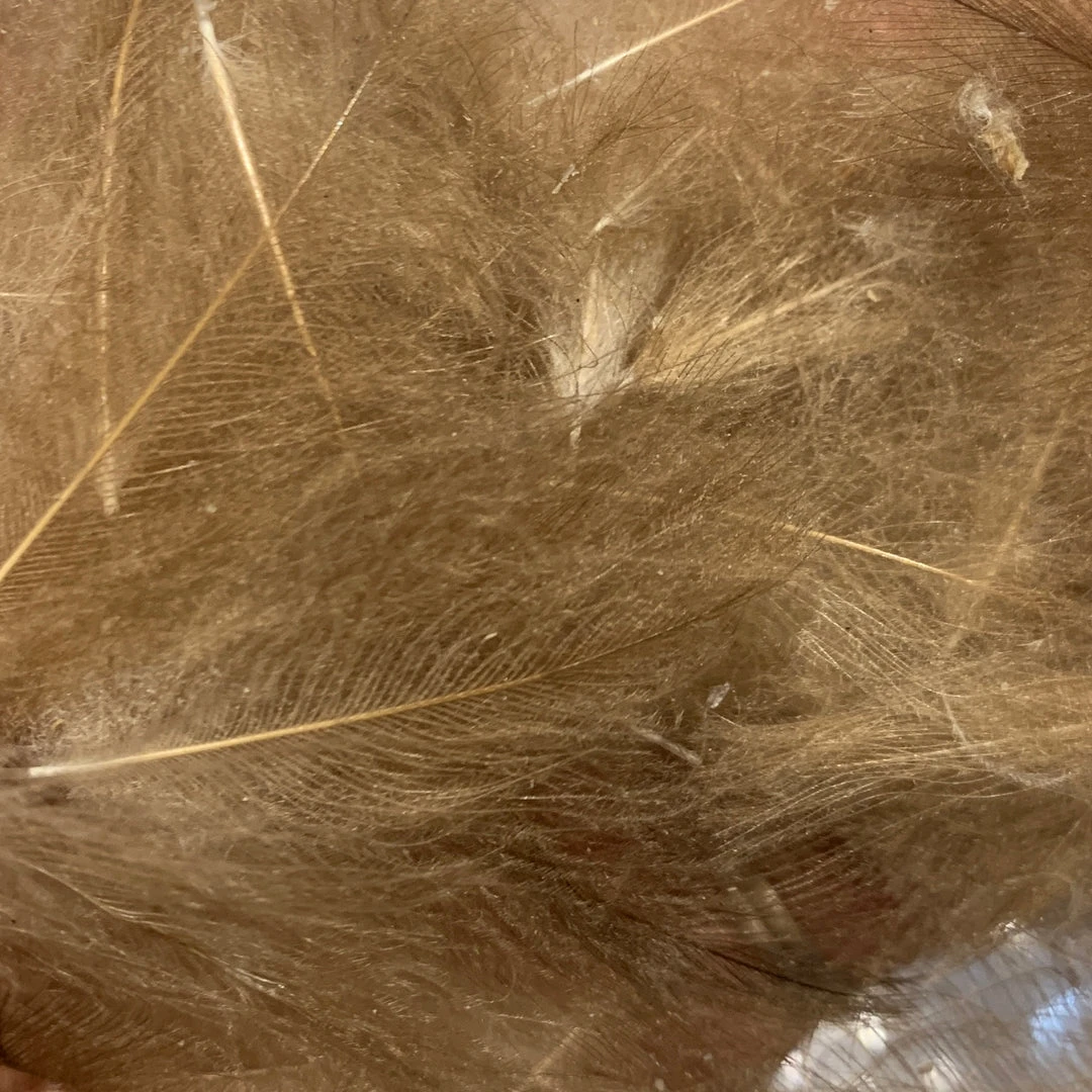 TroutHunter Premium CDC 11 TroutHunter Premium CDC