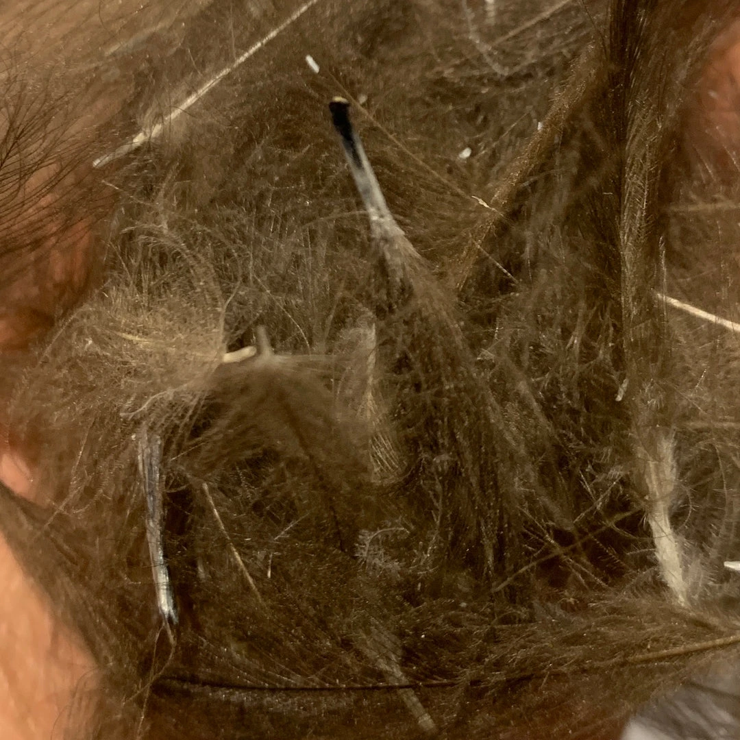 TroutHunter Premium Bulk CDC Feathers & Marabou 22 TroutHunter Premium Bulk CDC Feathers & Marabou