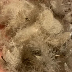 Nature's Spirit Swiss CDC Puffs Feathers & Marabou