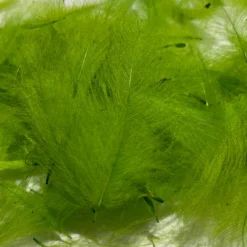 Nature's Spirit Swiss CDC Standard Grade Feathers & Marabou