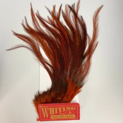 Hackle Whiting Coq De Leon Euro Nymph Tailing Pack