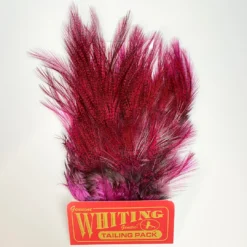 Hackle Whiting Coq De Leon Euro Nymph Tailing Pack