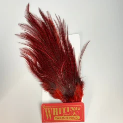 Hackle Whiting Coq De Leon Euro Nymph Tailing Pack