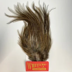 Hackle Whiting Coq De Leon Euro Nymph Tailing Pack