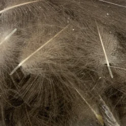 Nature's Spirit Swiss CDC Ultra Select XL Grade Feathers & Marabou