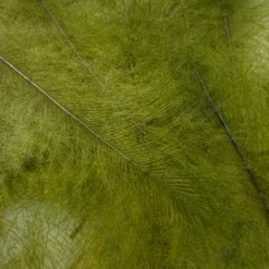 Nature's Spirit Swiss CDC Ultra Select XL Grade Feathers & Marabou