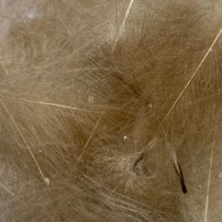 Nature's Spirit Feathers & Marabou Swiss CDC Super Select Grade