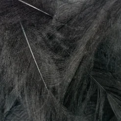 Nature's Spirit Feathers & Marabou Swiss CDC Super Select Grade