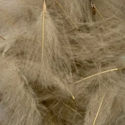 Nature's Spirit Feathers & Marabou Swiss CDC Super Select Grade