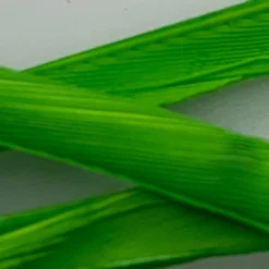 Hareline Feathers & Marabou Stripped Goose Biots