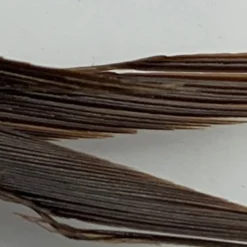 Hareline Feathers & Marabou Stripped Goose Biots