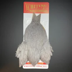 Whiting Winger Cape Hackle