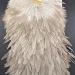 Whiting Hebert Miner Hen Saddle