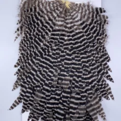 Hackle Whiting Red Label Hen Saddle