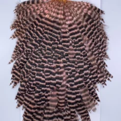 Hackle Whiting Red Label Hen Saddle